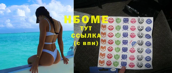 стаф Алексин